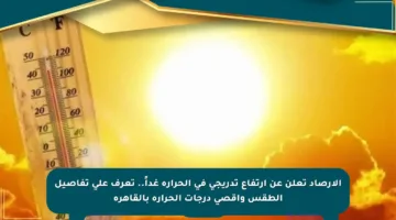 الأرصاد تعلن عن ارتفاع تدريجي في الحرارة غداً.. تعرف على تفاصيل الطقس وأقصى درجات الحرارة بالقاهرة